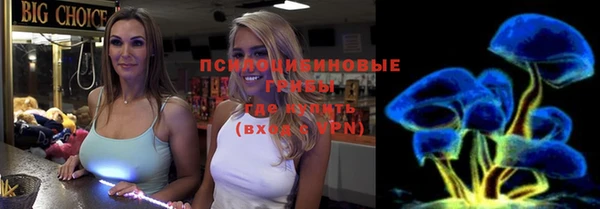 соль ск Балахна