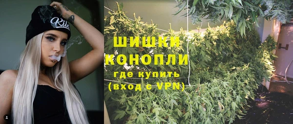 сатива Балабаново