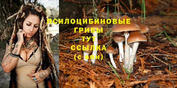 соль ск Балахна